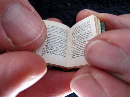 Miniature 1/12th scale book by The Shopping Sherpa via Flickr
