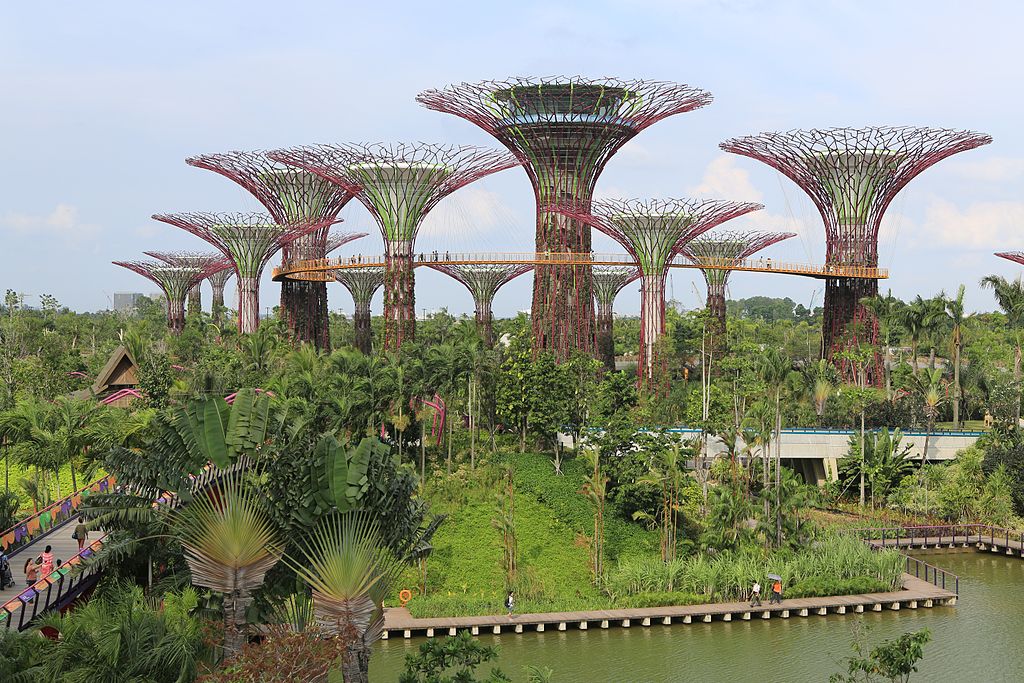 Supertree Grove Gardens by the Bay, Singapore